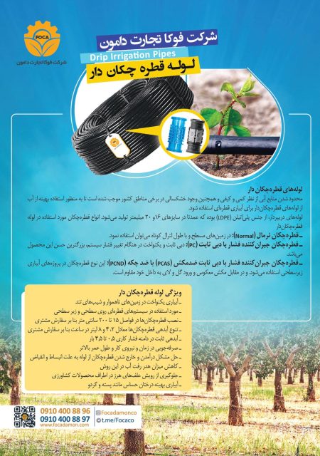 کاتالوگ فوکا تجارت دامون فارسی صفحه 2